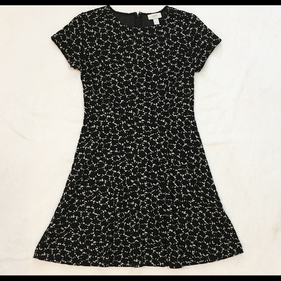 LOFT Dresses & Skirts - LOFT: Black/White Print Fit & Flare Dress Size-6